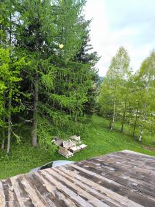Paesaggio naturale nelle vicinanze dell'agriturismo