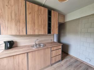 Kuchyň nebo kuchyňský kout v ubytování Nakvynė Akmenėje -Pušyno pašonėje-