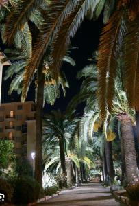 eine Reihe von Palmen in der Nacht auf einer Straße in der Unterkunft Le case di Sara - Green Palm in Arma di Taggia