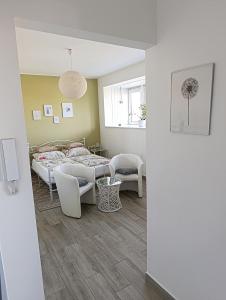 Fotografie z fotogalerie ubytování Studio Eleven v destinaci Kisvárda