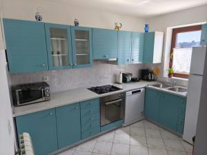 Kuchyň nebo kuchyňský kout v ubytování Apartments Rede