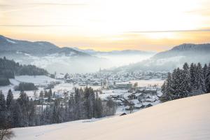 a town covered in snow in the mountains at AllgäuLiebe in Oberstaufen