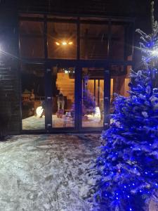 a blue christmas tree in front of a building at Forest Studio Corunca in Corunca