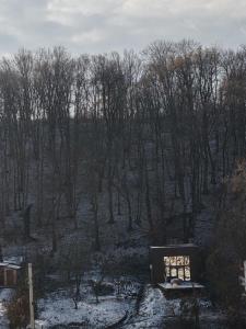 a window in a field with trees and snow at Forest Studio Corunca in Corunca +6 photos
