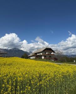 Fotografie z fotogalerie ubytování Apartments-Rooms Kocijancic v Bledu