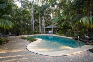 a swimming pool in the middle of a yard with trees at Amore On Buderim Rainforest Cabins in Buderim