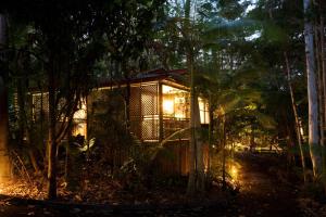 ein Baumhaus mitten im Wald nachts in der Unterkunft Amore On Buderim Rainforest Cabins in Buderim