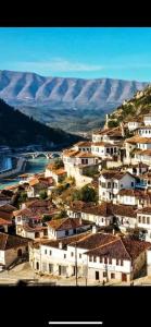 a group of houses on a hill with mountains in the background at Guest House Cela City Centre in Berat +28 photos