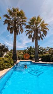 a person in a swimming pool with palm trees at Casa Monki in Raposeira