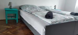 a black cat laying on a bed with a television at Kossuth Apartman in Hidasnémeti
