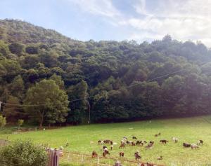 Paesaggio naturale nelle vicinanze dell'appartamento