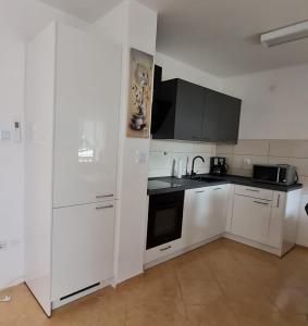 Kuchyň nebo kuchyňský kout v ubytování Apartman Joki