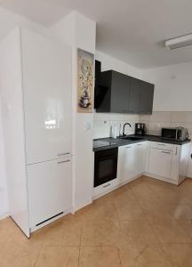 Kuchyň nebo kuchyňský kout v ubytování Apartman Joki