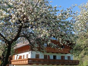 A garden outside Hintererhof
