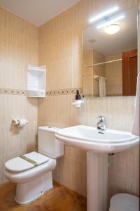 a bathroom with a sink and a toilet and a mirror at Apartamento Brisa de Cantábrico-piscina y parking in Prellezo