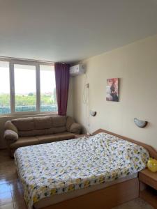 Gallery image of Rutland SP apartments in Ravda