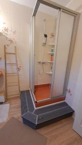 a shower stall in a bathroom with a toilet at Chez Betty in Semur-en-Auxois +10 photos