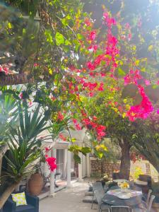 Giardino di Villa La Perla Capri