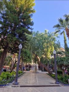 Fotografie z fotogalerie ubytování Dama d'Elx v destinaci Elche