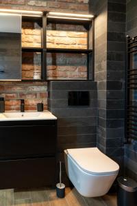 Koupelna v ubytování Vila Ferdinand - Apartament Iarina + 41 fotografií