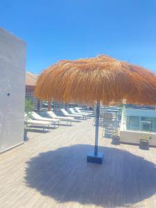 Táj az apartmanhotel közelében