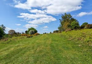 a grassy hill with a blue sky and clouds at Ramblers Rest in Yarpole