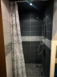 a bathroom with a shower with a shower curtain at Janno apartment in Pärnu