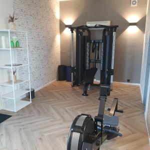 Fitnesscentret og/eller fitnessfaciliteterne på schwimmende Villa Haus Beach + 41 billeder