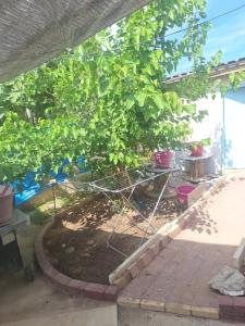 Κήπος έξω από το Room with private entrance from outside, traditional house +3 φωτογραφίες