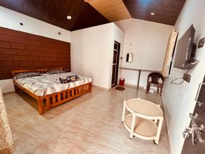 TV a/nebo společenská místnost v ubytování Brahmand cottages