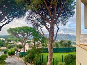 a tree in a yard with a fence at Hauzify I Apartament Grumet in Sant Feliu de Guixols