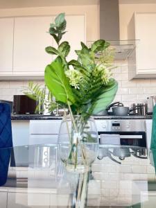 a vase filled with plants on a glass table in a kitchen at 1 Bedroom Apartment - Flitwick - Contractor Friendly - Tourist Ready - Full Kitchen - WiFi - Smart TV - Sofa Bed - FREE Parking - Ideal for Short or Long Stays in Flitwick +3 photos