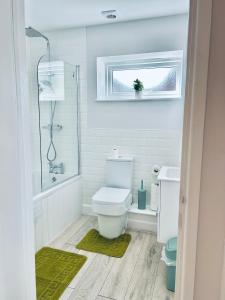 a bathroom with a toilet and a shower and a sink at Dover Castle Views, private terrace and on-site parking in Dover +44 photos