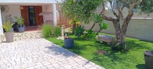 Zahrada ubytování b&b Stella marina torre guaceto