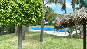 a resort yard with a swimming pool and trees at Mirador de Gema in Torrox Costa