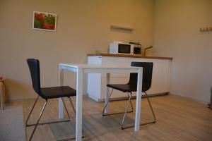 Η κουζίνα ή μικρή κουζίνα στο Elixbeer Kastély Sörház és Vendégház