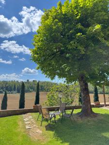 Zahrada ubytování Villa Le Caggia