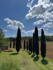 Zahrada ubytování Villa Le Caggia