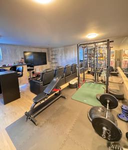 a gym with rows of exercise equipment in a room at Luxury Villa with Heated Pool & Sea View Your Private Paradise on the Norwegian Coast in Kristiansand +42 photos