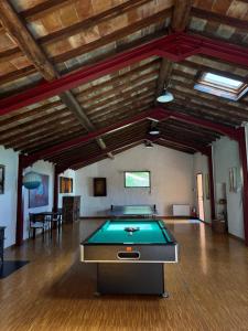 Biliár nebo kulečník v ubytování Villa Le Caggia