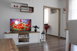 TV a/nebo společenská místnost v ubytování Apartmán MAK
