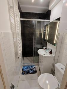 un bagno con doccia, WC e lavandino di HANA Apartament a Târgu-Mureş Altre 12 foto