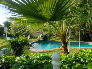 The swimming pool at or close to Mare Maravella Costa Brava Nature