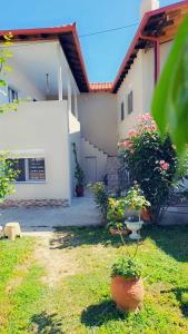 Zahrada ubytování aspa2 + 16 fotografií