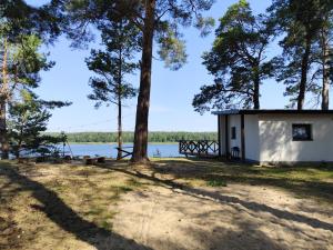 a small white building with a tree in front of a lake at Przystań Kormoran in Czarna Wieś