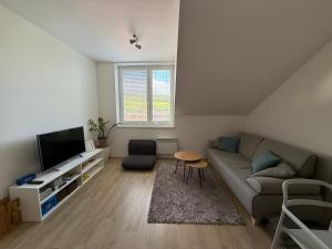 Televízia a/alebo spoločenská miestnosť v ubytovaní Rodinný mezonetový apartmán Větrák