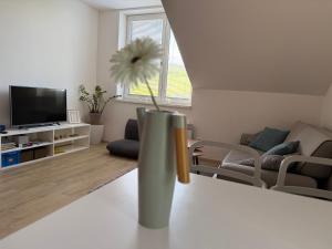 Televízia a/alebo spoločenská miestnosť v ubytovaní Rodinný mezonetový apartmán Větrák