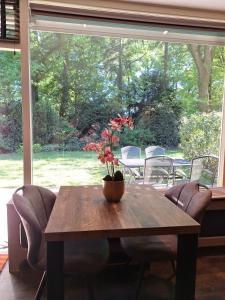 a table with a potted plant on it in front of a window at Boshuisje Het Bosnest - de Specht bungalow met privétuin op Hoefbos Otterlo Veluwe in Otterlo