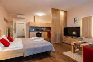 TV a/nebo společenská místnost v ubytování Apartmány Viva Třeboň