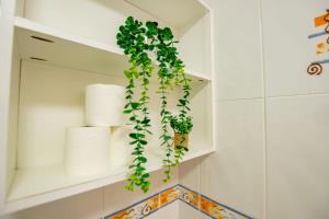 a green plant hanging from a shelf in a bathroom at 131 - Spacious 2 Bed Apt with Parking in Galway